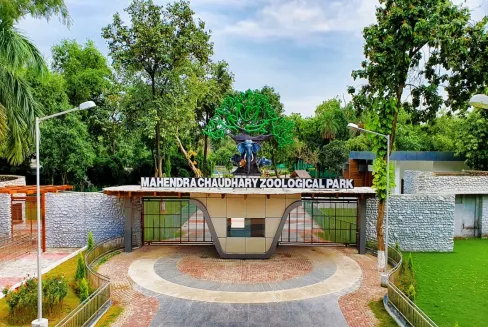 Chhatbir Zoo